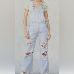 BNWT Wide-Leg Distressed Overalls